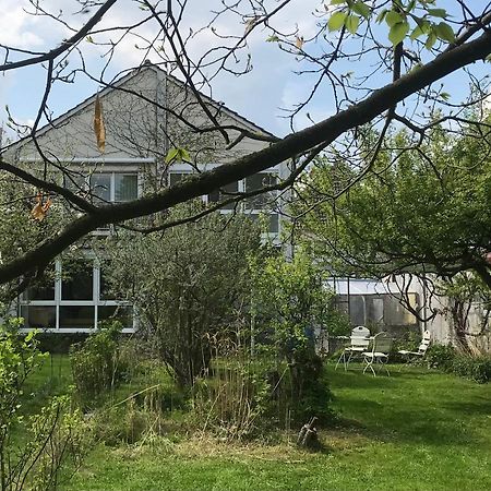 Rebenlaub Apartment Heringen  Luaran gambar